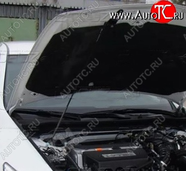 2 969 р. Газовый упор капота Tuning-Sport  Honda Accord  8 CU (2008-2011) седан дорестайлинг  с доставкой в г. Кемерово