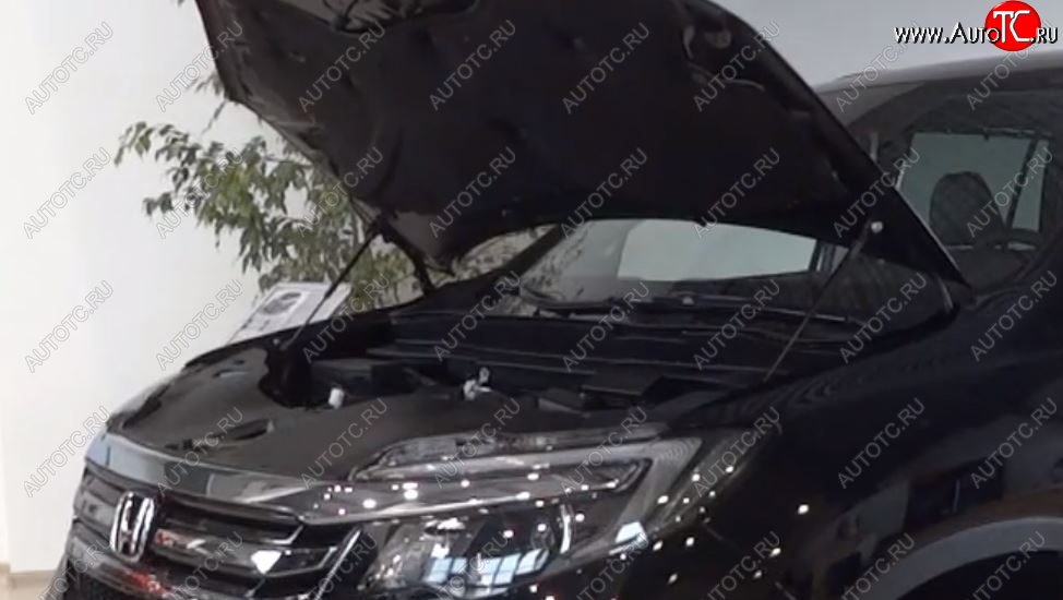 2 299 р. Упоры капота Russtal Honda Pilot YF6 дорестайлинг (2016-2019)  с доставкой в г. Кемерово