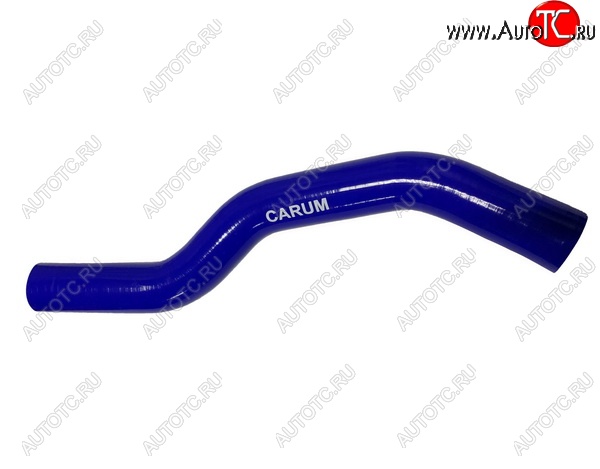 1 079 р. Патрубок радиатора (2.7 силикон) CARUM Hyundai Santa Fe SM (2000-2012) (верхний)  с доставкой в г. Кемерово