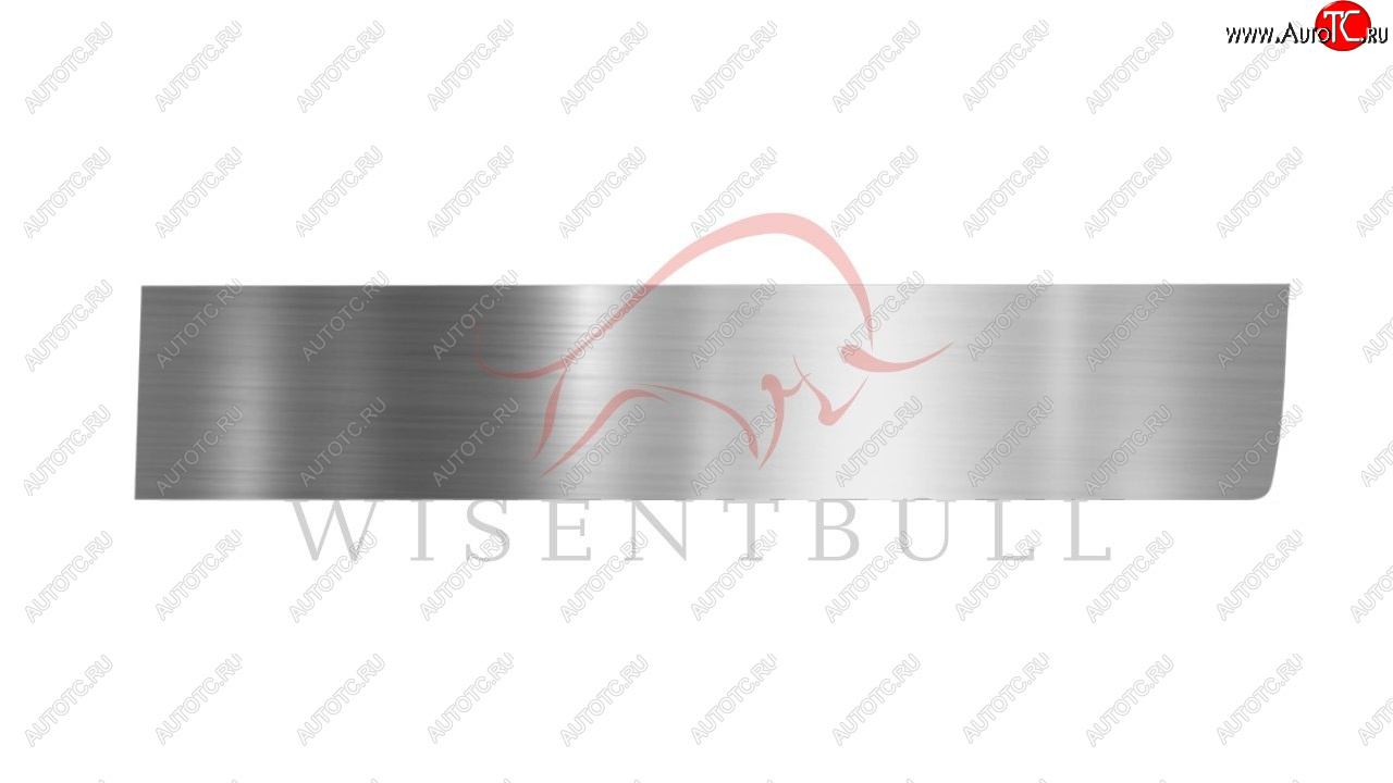 1 989 р. Ремкомплект правой двери Wisentbull Hyundai Starex/Grand Starex/H1 TQ дорестайлинг (2007-2013)  с доставкой в г. Кемерово