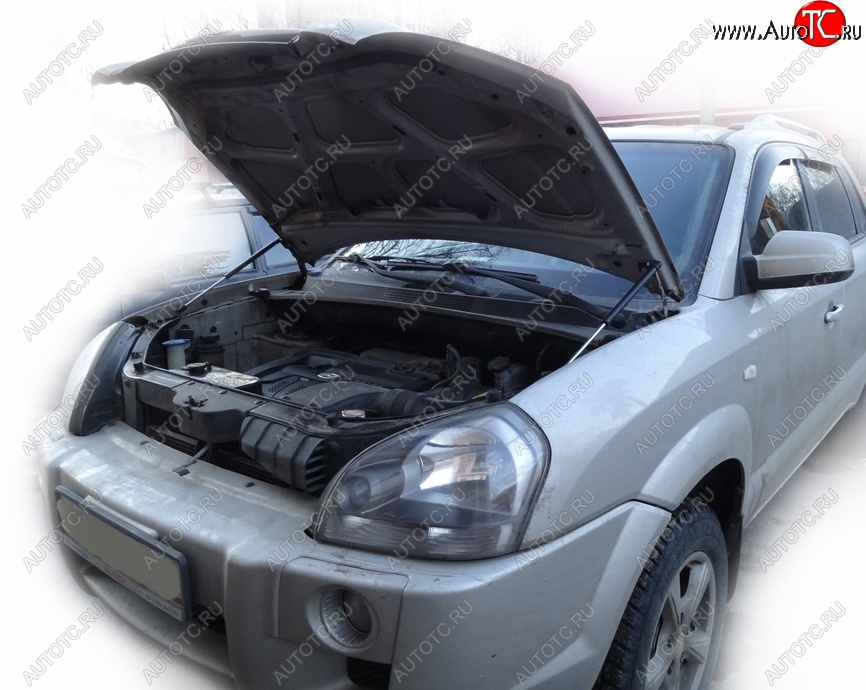 2 049 р. Упоры капота Russtal Hyundai Tucson JM (2004-2010)  с доставкой в г. Кемерово
