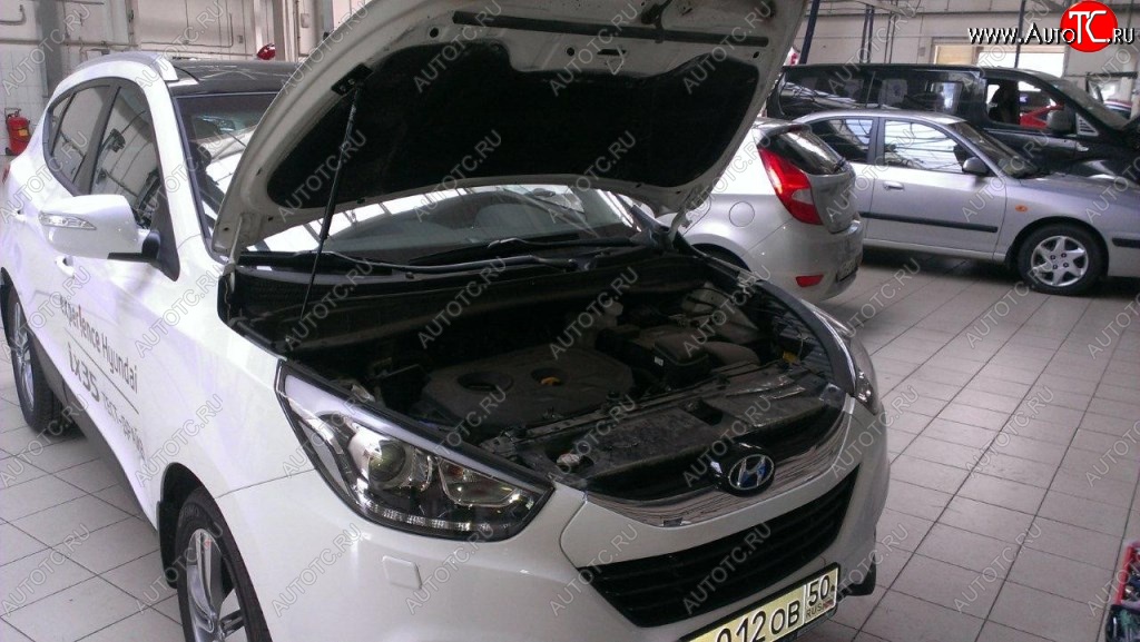 2 199 р. Газовые упоры капота Berkut Hyundai IX35 LM дорестайлинг (2009-2013)  с доставкой в г. Кемерово