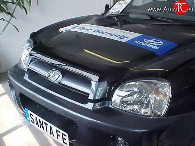 2 499 р. Дефлектор капота NovLine Hyundai Santa Fe SM (2000-2012)  с доставкой в г. Кемерово