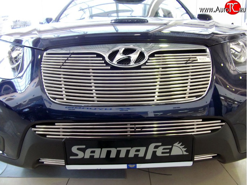 5 849 р. Декоративная вставка решетки радиатора Berkut (d10 мм) Hyundai Santa Fe CM рестайлинг (2009-2012)  с доставкой в г. Кемерово