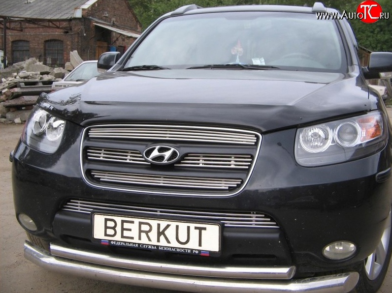 5 999 р. Декоративная вставка решетки радиатора Berkut Hyundai Santa Fe CM дорестайлинг (2006-2009)  с доставкой в г. Кемерово