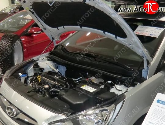 2 199 р. Газовые упоры капота Berkut Hyundai Solaris RBr седан дорестайлинг (2010-2014)  с доставкой в г. Кемерово