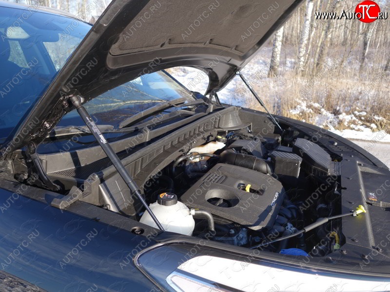 2 199 р. Газовые упоры капота Berkut Hyundai Tucson TL дорестайлинг (2015-2018)  с доставкой в г. Кемерово