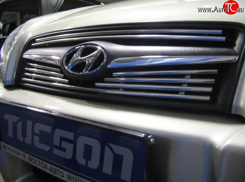 4 799 р. Декоративная вставка решетки радиатора Berkut Hyundai Tucson JM (2004-2010)  с доставкой в г. Кемерово