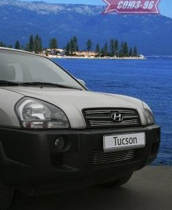 3 599 р. Декоративные элементы решетки радиатора Souz-96 (d10)  Hyundai Tucson  JM (2004-2010)  с доставкой в г. Кемерово. Увеличить фотографию 1