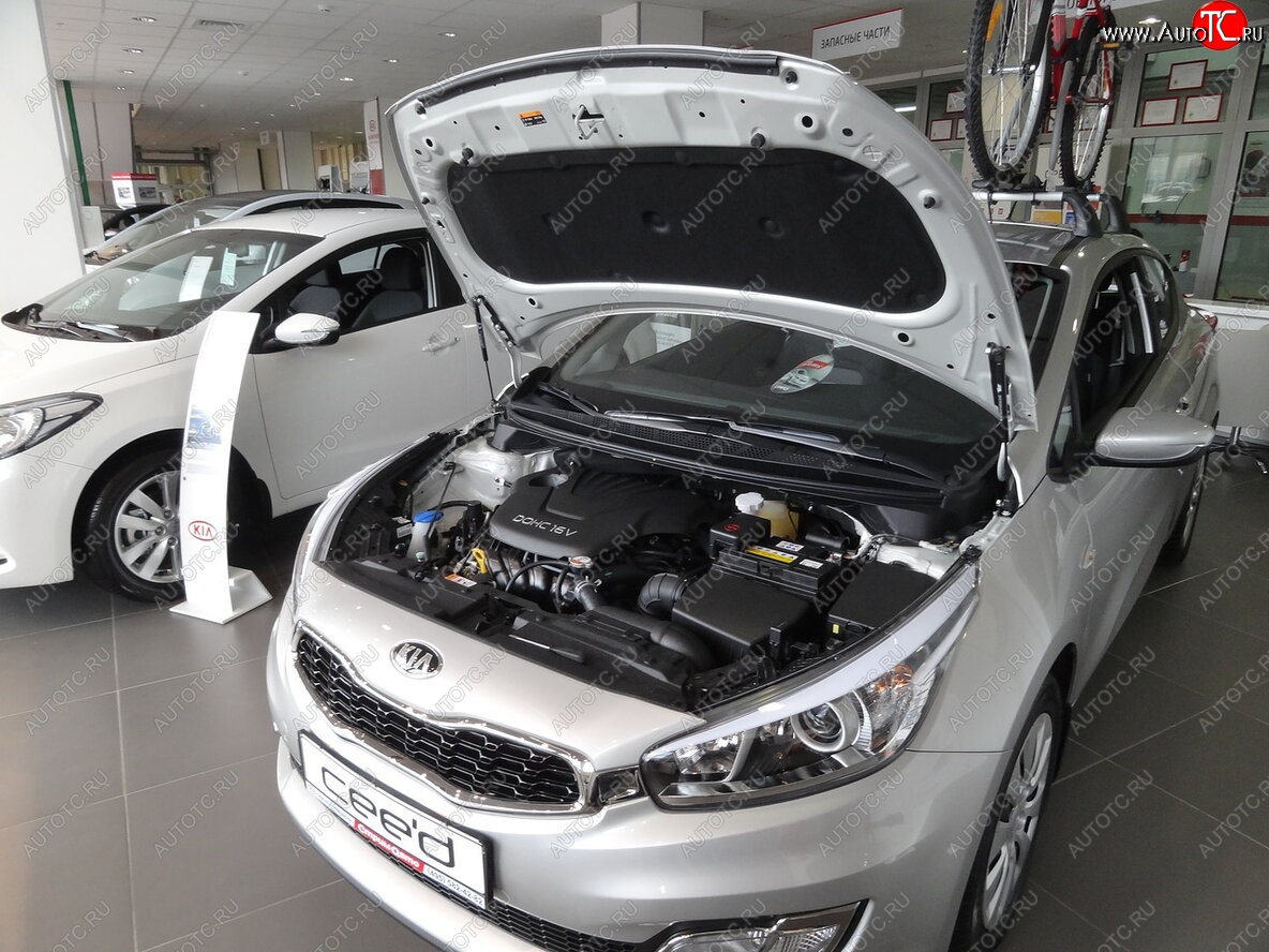2 049 р. Упоры капота Russtal KIA Ceed 2 JD дорестайлинг универсал (2012-2016)  с доставкой в г. Кемерово
