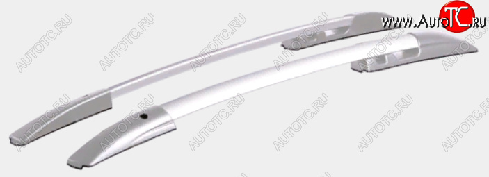 7 649 р. Рейлинги АПС  KIA Ceed  1 ED (2006-2012) дорестайлинг, хэтчбэк 5 дв., рестайлинг, хэтчбэк 5 дв. (Серебристые, без поперечин)  с доставкой в г. Кемерово