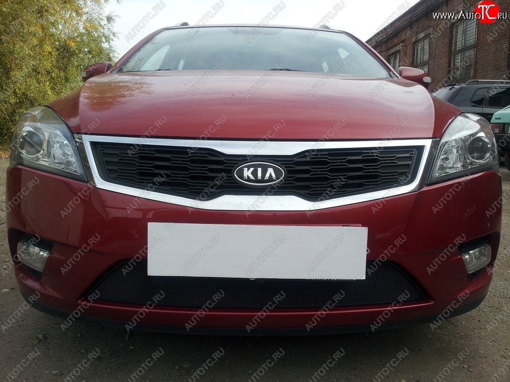 1 469 р. Защитная сетка на бампер Russtal (черная)  KIA Ceed  1 ED (2010-2012) рестайлинг универсал, рестайлинг, хэтчбэк 5 дв.  с доставкой в г. Кемерово