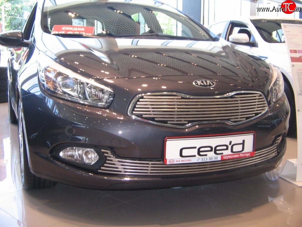 5 099 р. Декоративная вставка решетки радиатора Berkut KIA Ceed 1 ED рестайлинг, хэтчбэк 5 дв. (2010-2012)  с доставкой в г. Кемерово