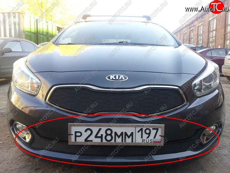 2 099 р. Нижняя защитная сетка на бампер Russtal (черная)  KIA Ceed  1 ED (2010-2012) рестайлинг, хэтчбэк 5 дв.  с доставкой в г. Кемерово