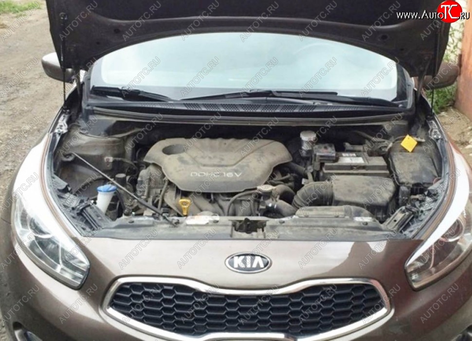 2 199 р. Газовые упоры капота Berkut KIA Ceed 1 ED рестайлинг, хэтчбэк 5 дв. (2010-2012)  с доставкой в г. Кемерово