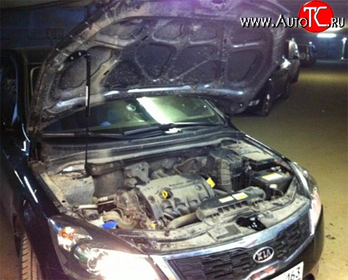 2 249 р. Упор капота Sport  KIA Ceed  1 ED (2006-2012) дорестайлинг универсал, дорестайлинг, хэтчбэк 5 дв., рестайлинг универсал, рестайлинг, хэтчбэк 5 дв. (без кронштейна. установка на растяжку стоек Sport)  с доставкой в г. Кемерово