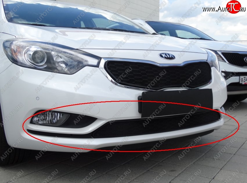 1 469 р. Нижняя защитная сетка на бампер Russtal (черная) KIA Cerato 3 YD дорестайлинг седан (2013-2016)  с доставкой в г. Кемерово