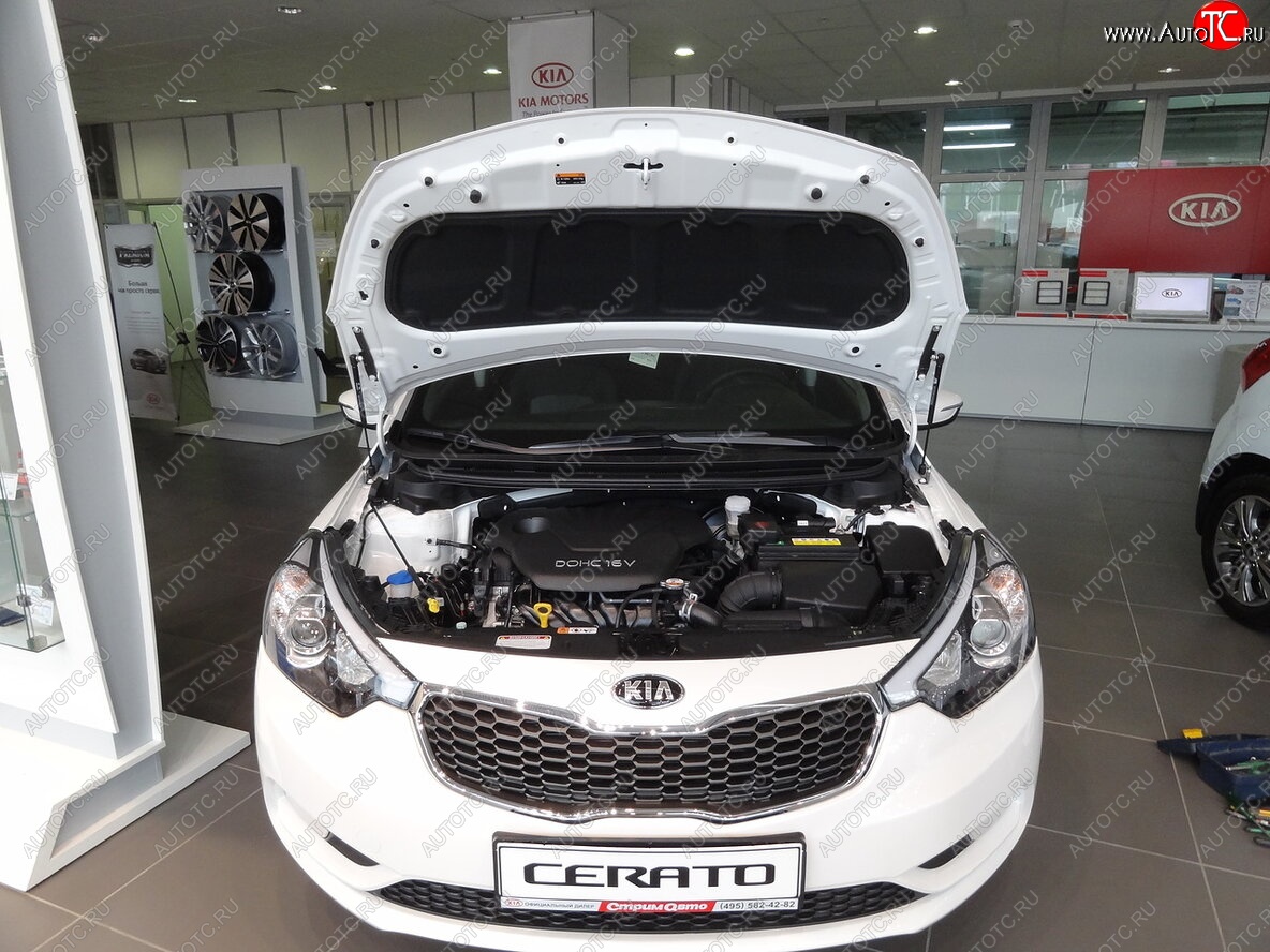 2 049 р. Упоры капота Russtal KIA Cerato 3 YD дорестайлинг седан (2013-2016)  с доставкой в г. Кемерово