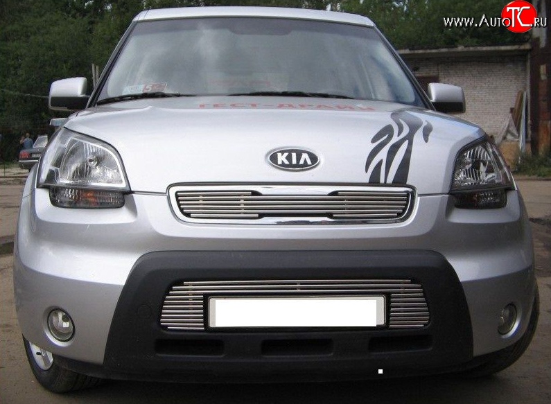 4 099 р. Декоративная вставка решетки радиатора AM Berkut KIA Soul AM дорестайлинг (2008-2011)  с доставкой в г. Кемерово