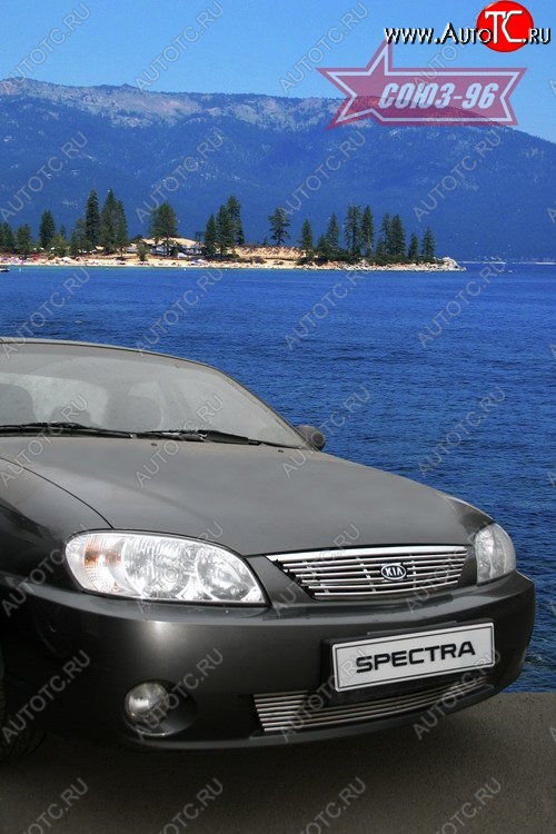 4 274 р. Декоративный элемент решётки радиатора Souz-96 (d10) KIA Spectra (2000-2009)  с доставкой в г. Кемерово