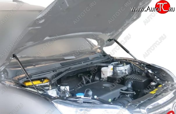 2 149 р. Газовые упоры капота Berkut Lifan X60 1-ый рестайлинг (2015-2016)  с доставкой в г. Кемерово