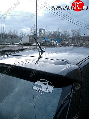 4 149 р. Спойлер SPORTEST Mazda 3/Axela BK дорестайлинг, хэтчбэк (2003-2006) (Неокрашенный)  с доставкой в г. Кемерово