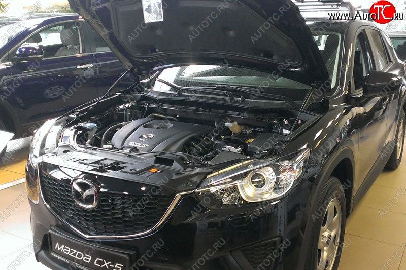 2 199 р. Газовые упоры капота Berkut  Mazda CX-5  KE (2011-2017) дорестайлинг, рестайлинг  с доставкой в г. Кемерово