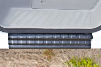 1 679 р. Накладка на внутренние пороги дверей RA  Mercedes-Benz Sprinter  W906 (2006-2013)  с доставкой в г. Кемерово. Увеличить фотографию 3