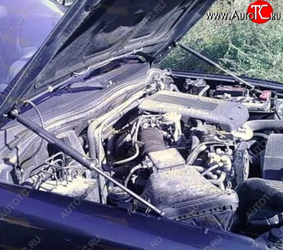 2 199 р. Газовые упоры капота Berkut Mitsubishi Pajero 3 V70 дорестайлинг (1999-2003)  с доставкой в г. Кемерово