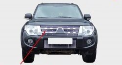 Декоративная вставка в решетку радиатора Souz-96 Mitsubishi Pajero ( 4 V90,  4 V80) (2011-2015) 1-ый рестайлинг, 3 дв. 1-ый рестайлинг (диаметр 10 мм)