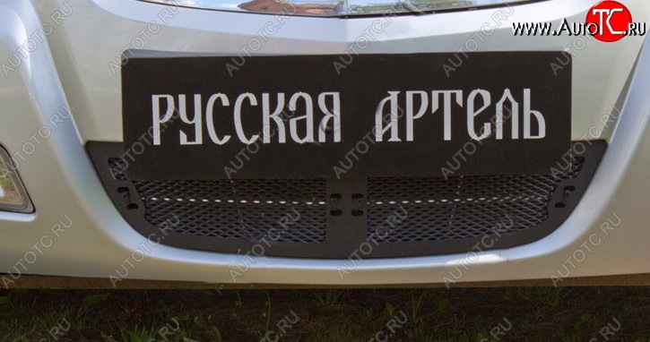 2 049 р. Защитная сетка решетки переднего бампера РА  Nissan Almera Classic  седан (2006-2013) B10  с доставкой в г. Кемерово