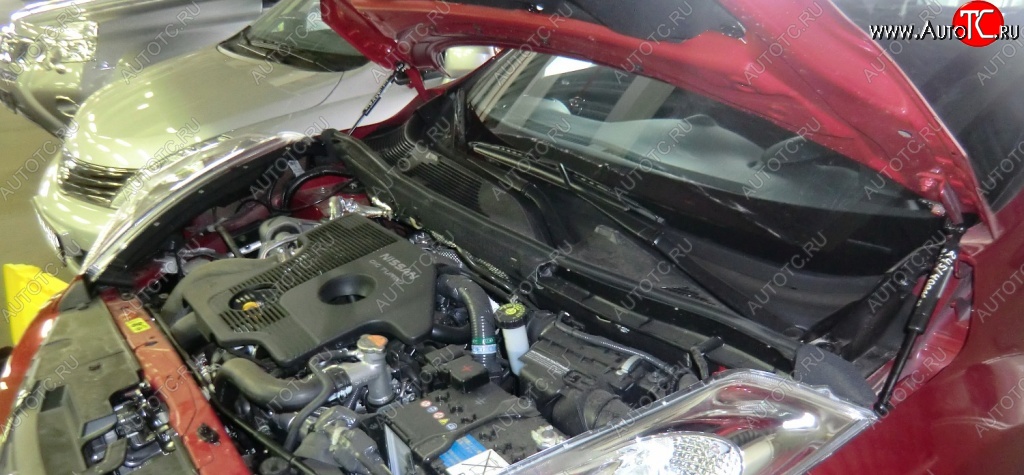2 199 р. Газовый упор капота Berkut Nissan Juke 1 YF15 рестайлинг (2014-2020)  с доставкой в г. Кемерово