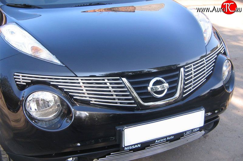 6 499 р. Декоративная вставка решетки радиатора Berkut Nissan Juke 1 YF15 дорестайлинг (2010-2014)  с доставкой в г. Кемерово