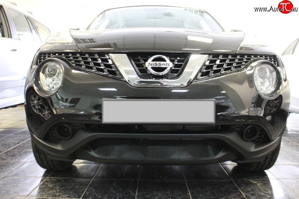 1 469 р. Сетка на бампер (рестайлинг) Russtal (черная) Nissan Juke 1 YF15 дорестайлинг (2010-2014)  с доставкой в г. Кемерово
