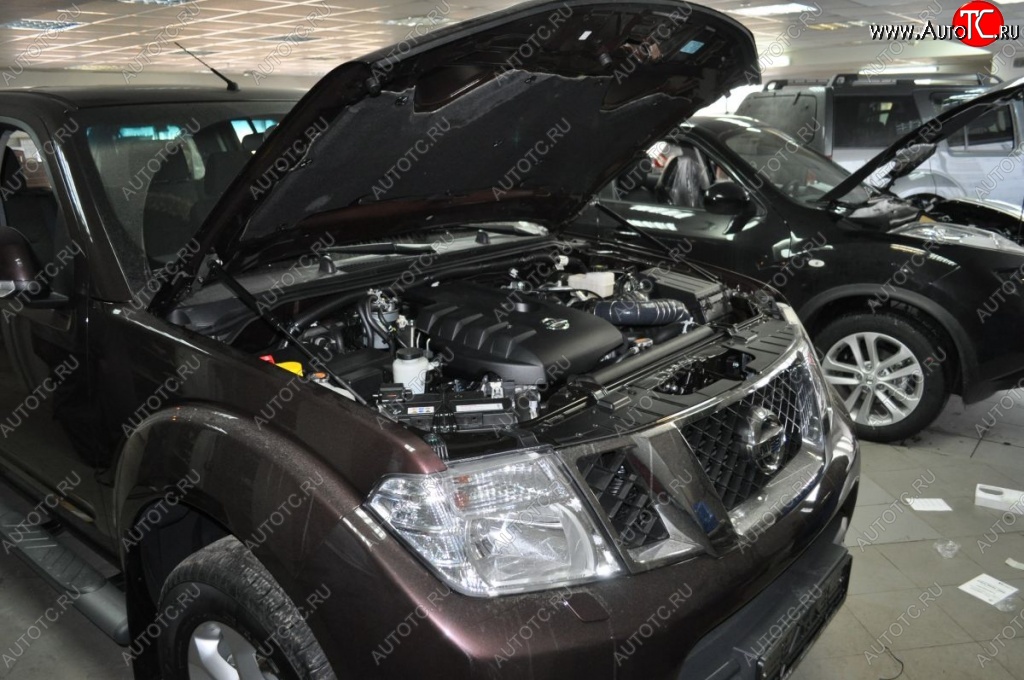 2 199 р. Газовые упоры капота Berkut Nissan Navara 2 D40 дорестайлинг (2004-2010)  с доставкой в г. Кемерово