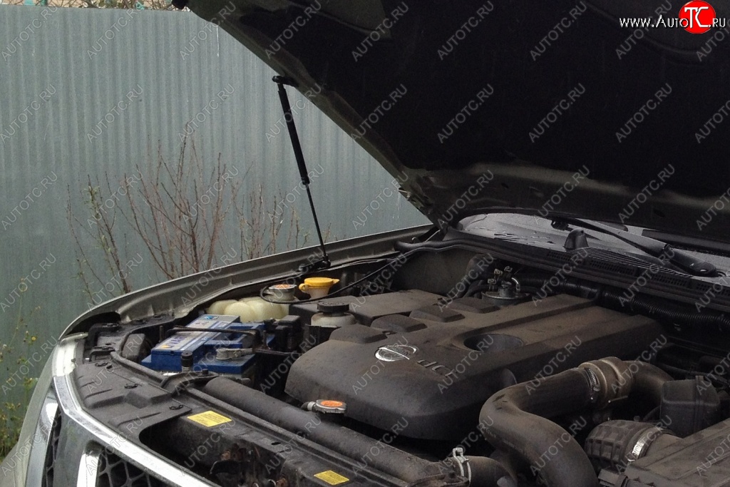 1 699 р. Газовые упоры капота Berkut Nissan Pathfinder R51 рестайлинг (2009-2014)  с доставкой в г. Кемерово