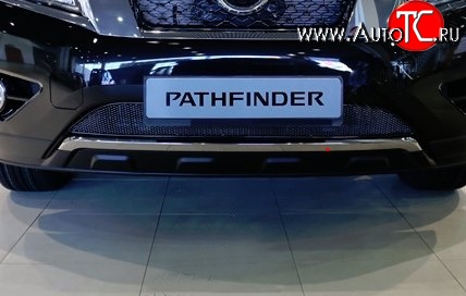 1 799 р. Сетка на бампер Novline  Nissan Pathfinder  R52 (2012-2017) дорестайлинг  с доставкой в г. Кемерово