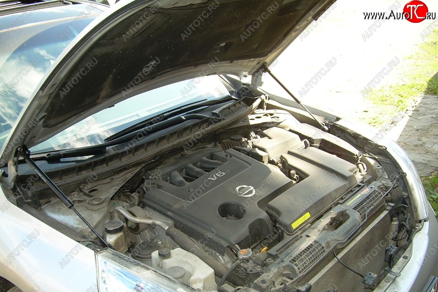 2 199 р. Газовые упоры капота Berkut Nissan Teana 2 J32 дорестайлинг (2008-2011)  с доставкой в г. Кемерово