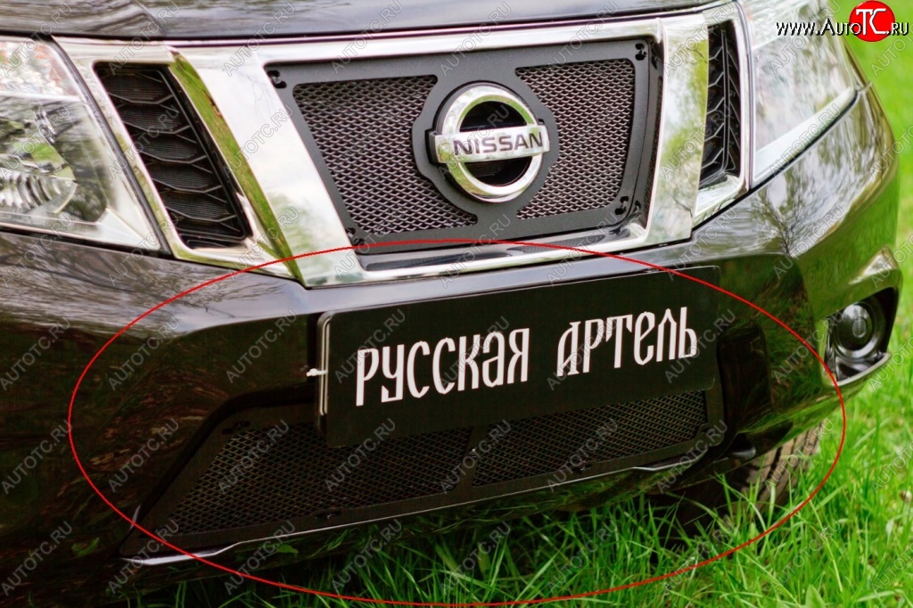 2 589 р. Защитная сетка решетки переднего бампера РА  Nissan Terrano  D10 (2013-2022) дорестайлинг, рестайлинг  с доставкой в г. Кемерово