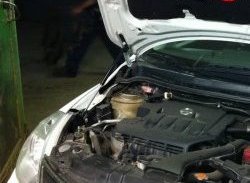 Упор капота Sport Nissan Tiida ( 1 хэтчбэк,  1 седан,  1 хэтчбек) (2004-2014) C11 дорестайлинг, Япония, C11 рестайлинг, C11 рестайлинг