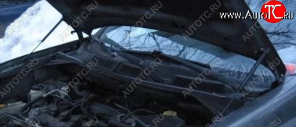 1 699 р. Газовые упоры капота Berkut Nissan X-trail 1 T30 дорестайлинг (2000-2003)  с доставкой в г. Кемерово