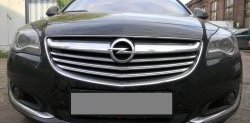 1 469 р. Сетка на бампер (рестайлинг) Russtal (черная)  Opel Insignia  A (2008-2017) дорестайлинг седан, рестайлинг седан, универсал рестайлинг  с доставкой в г. Кемерово. Увеличить фотографию 1