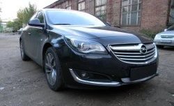 1 539 р. Сетка на бампер (рестайлинг) Russtal (хром)  Opel Insignia  A (2008-2017) дорестайлинг седан, рестайлинг седан, универсал рестайлинг  с доставкой в г. Кемерово. Увеличить фотографию 2