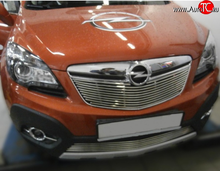 5 199 р. Декоративная вставка решетки радиатора Berkut Opel Mokka  дорестайлинг (2012-2016)  с доставкой в г. Кемерово