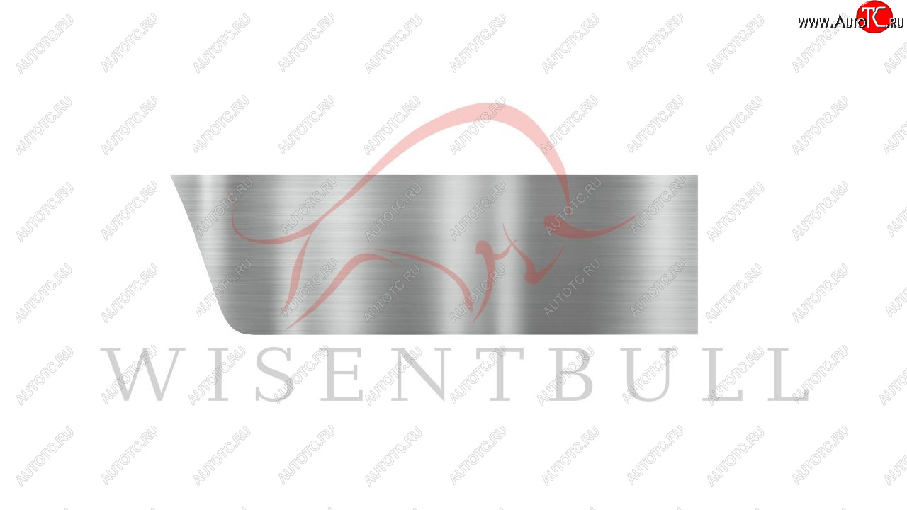 1 989 р. Ремкомплект правой двери Wisentbull  Opel Vectra ( B,  В) (1995-2003) седан дорестайлинг, универсал дорестайлинг , седан рестайлинг, универсал рестайлинг  с доставкой в г. Кемерово