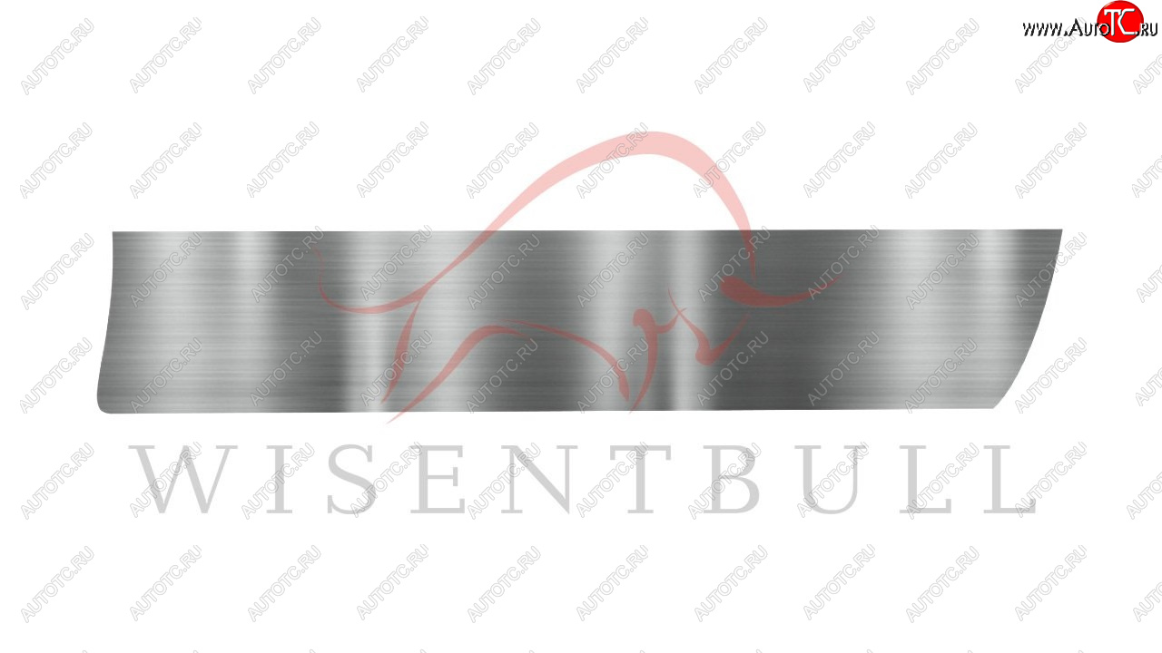 1 989 р. Ремкомплект правой двери Wisentbull  Peugeot 206 ( хэтчбэк 5 дв.,  универсал,  седан) (1998-2009) 2AC дорестайлинг, 2EK рестайлинг, 2AC рестайлинг, 2B рестайлинг  с доставкой в г. Кемерово