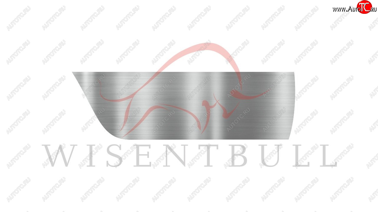 1 989 р. Ремкомплект правой двери Wisentbull  Peugeot 206 ( хэтчбэк 5 дв.,  универсал,  седан) (1998-2009) 2AC дорестайлинг, 2EK рестайлинг, 2AC рестайлинг, 2B рестайлинг  с доставкой в г. Кемерово