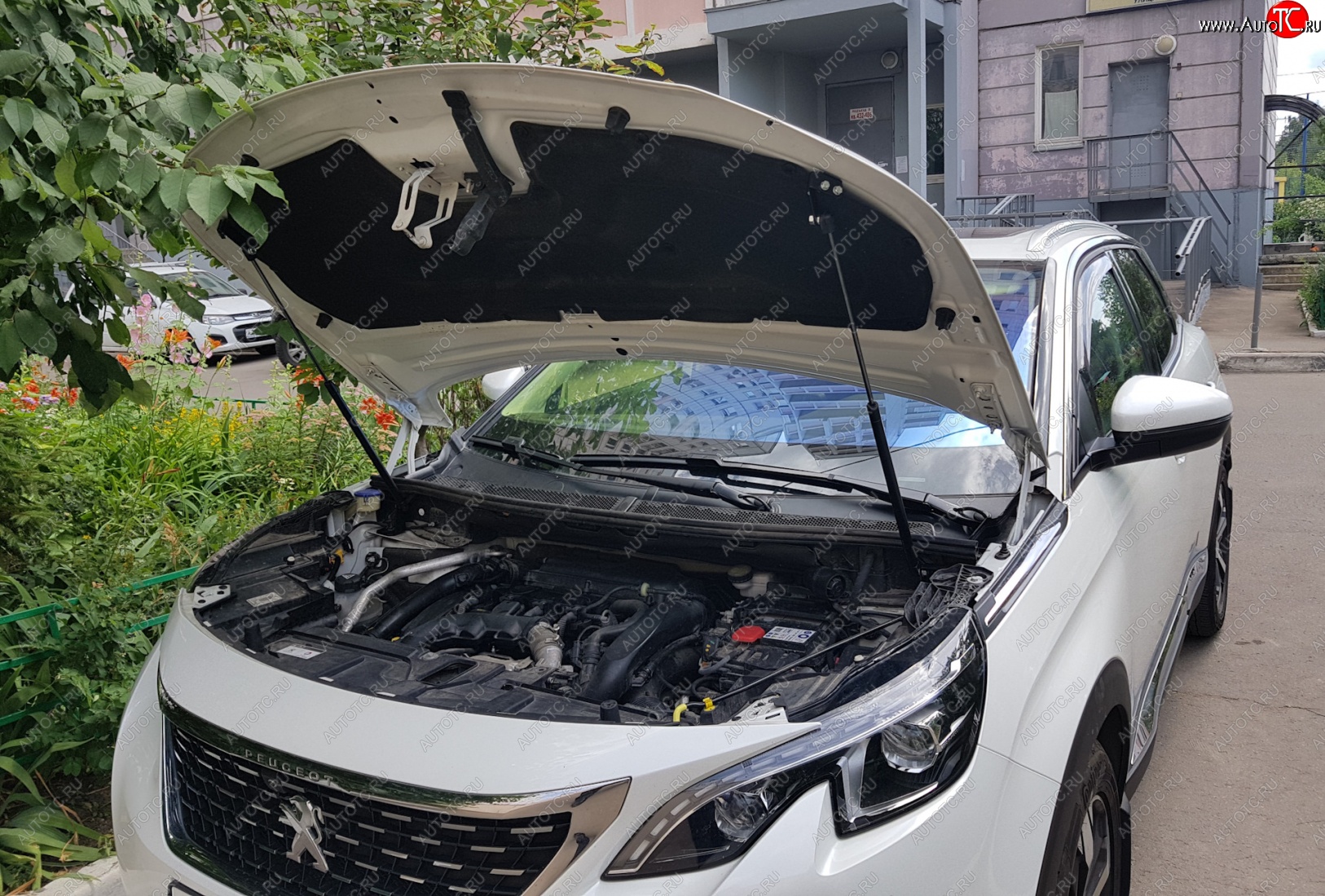 2 799 р. Упоры капота Russtal Peugeot 3008 2 (2016-2025)  с доставкой в г. Кемерово