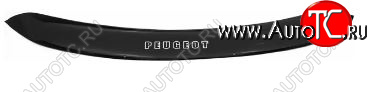 1 179 р. Дефлектор капота REIN (ЕВРО крепеж)  Peugeot 3008 (2009-2013) дорестайлинг  с доставкой в г. Кемерово