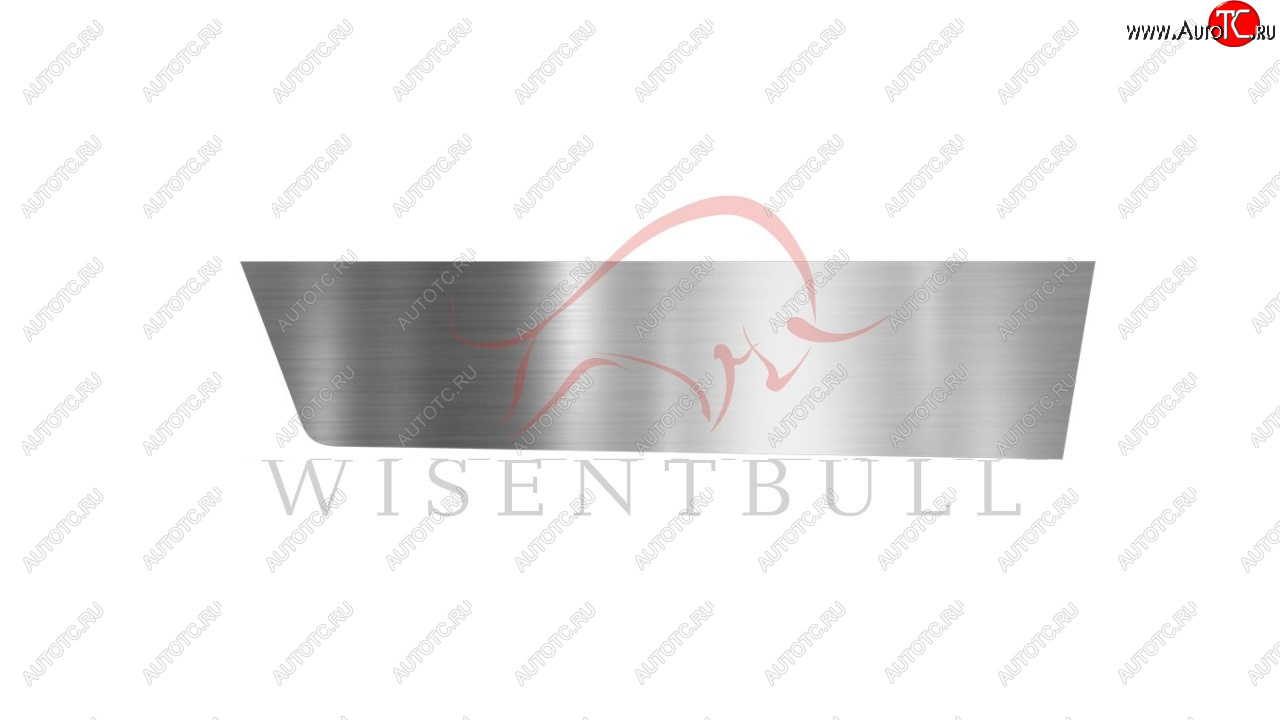 1 989 р. Ремкомплект правой двери Wisentbull  Peugeot 406 ( 8B,  8E,F) (1995-2004) седан дорестайлинг, универсал дорестайлинг, седан рестайлинг, универсал рестайлинг  с доставкой в г. Кемерово